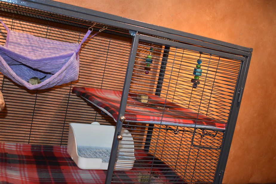 chinchilla cage with hammock bed
