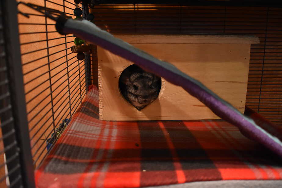 fleece liners add to the cage cost