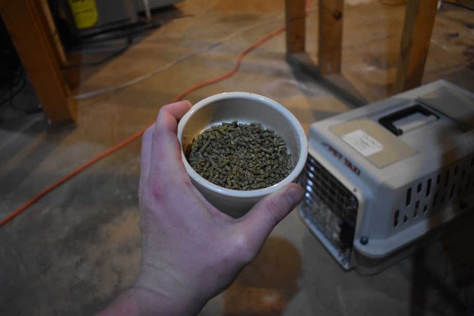 a clean chinchilla food bowl