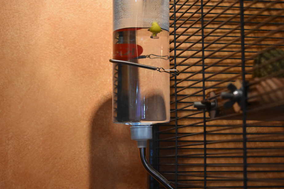 water bottle set up on cage