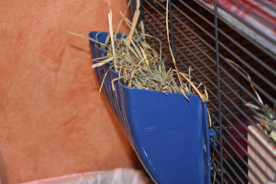 chinchilla hay feeder set up on cage