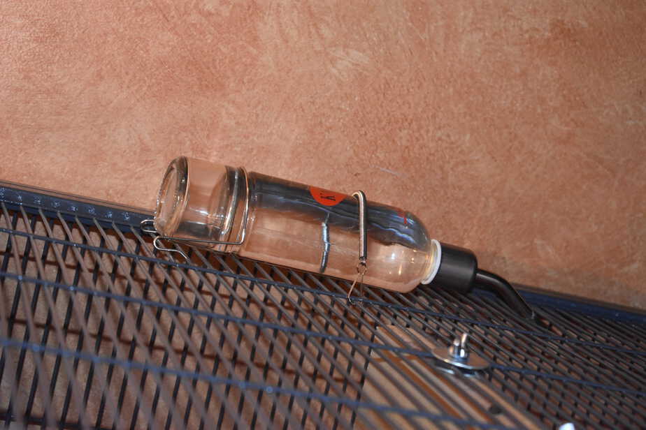 clean water bottle on chinchilla cage