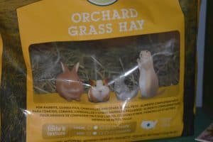orchard hay chinchilla