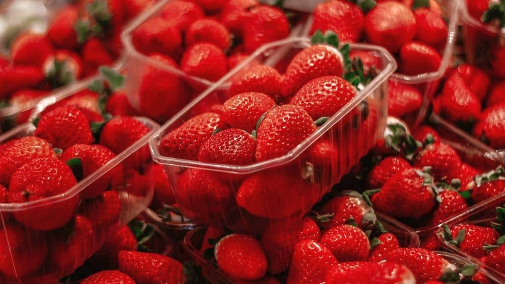strawberries for chinchilla