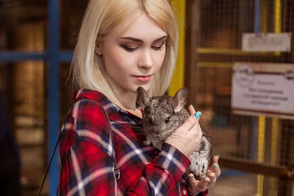 woman petting a chinchilla