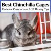 Best Chinchilla Cages