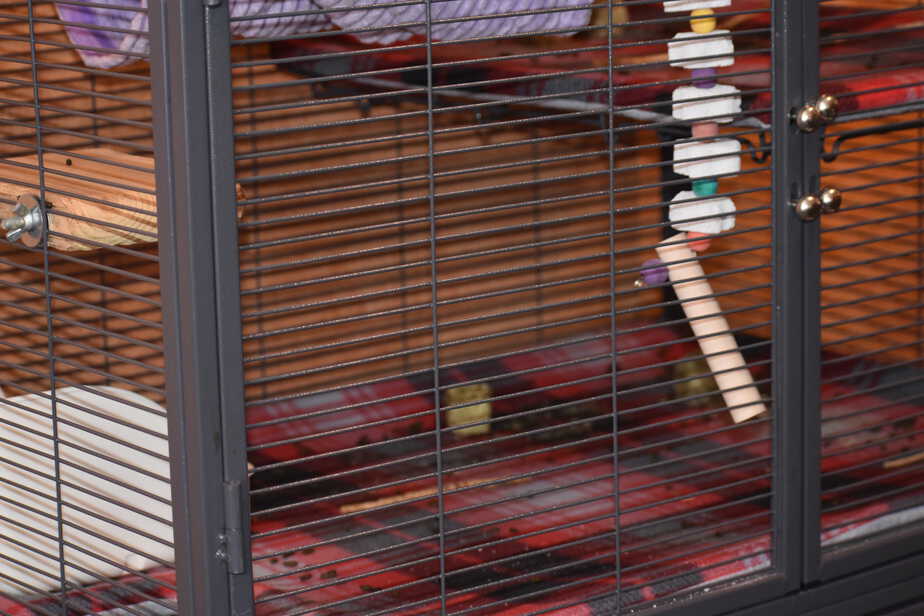 durable chinchilla cage