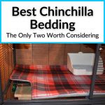 Best Chinchilla Bedding