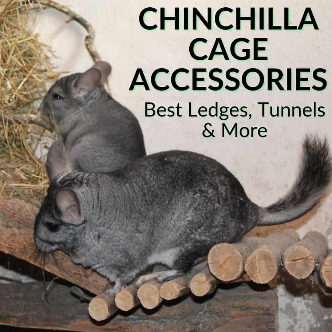Chinchilla Cage Accessories
