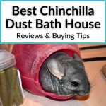 Best Chinchilla Dust Bath House