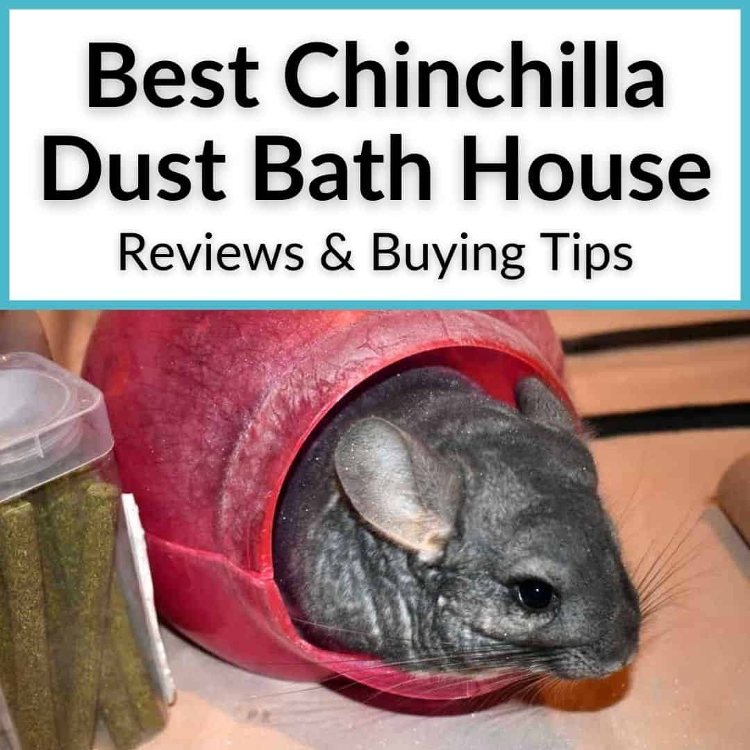 Chinchilla Premium Bathing Dust in 1lb. bag