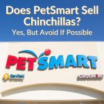 Does PetSmart Sell Chinchillas