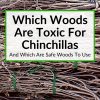 Which Woods Are Toxic For Chinchillas
