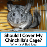Should I Cover My Chinchillas Cage
