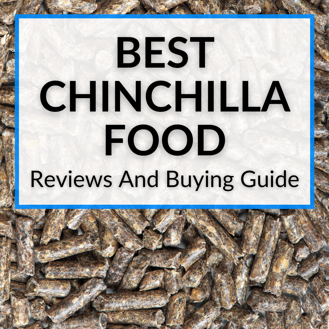 Best Chinchilla Food