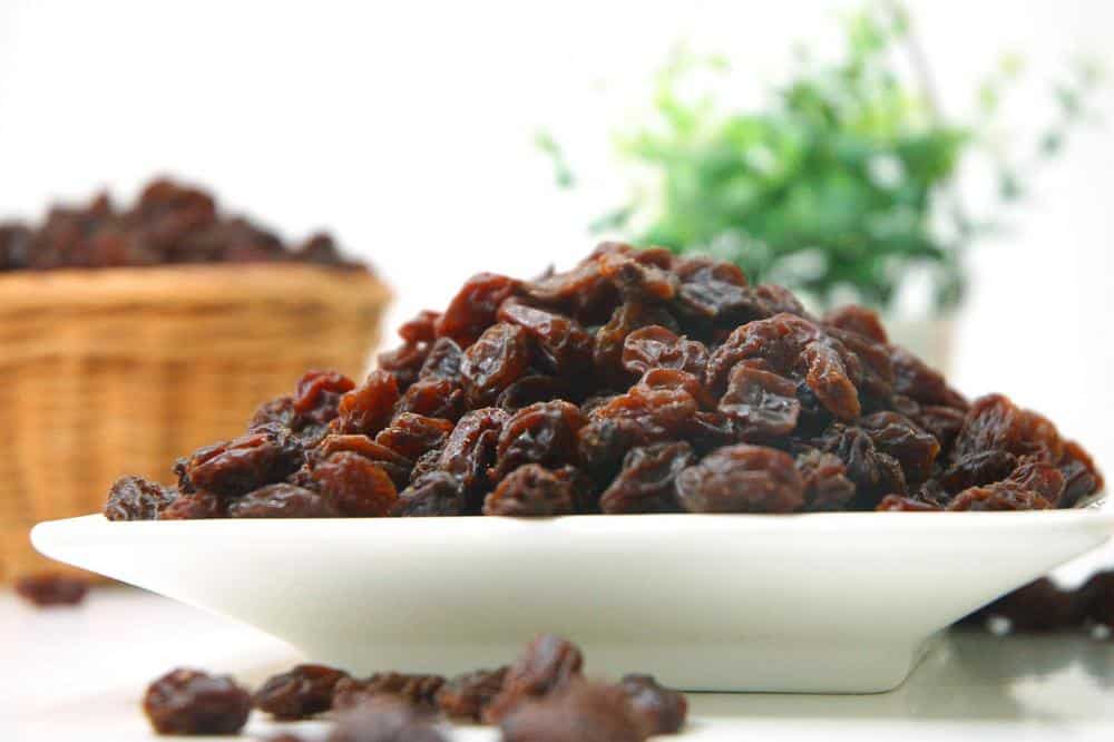 raisins to feed chinchilla