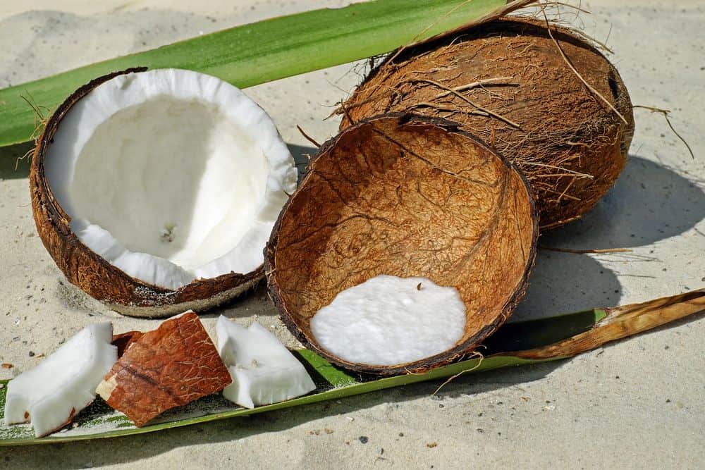 coconut husk flesh and milk
