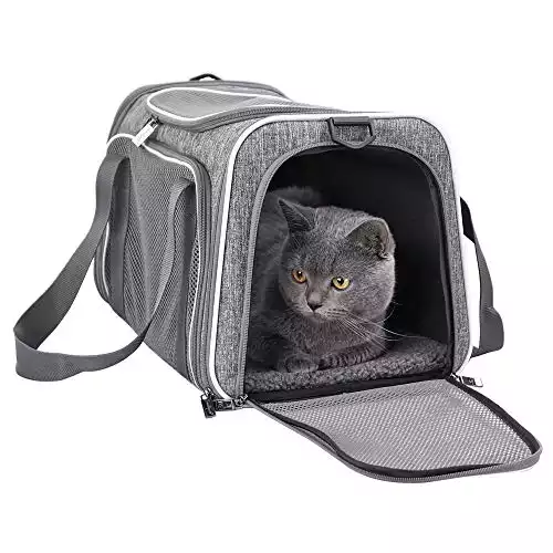 Petisfam Top Load Small Pet Carrier