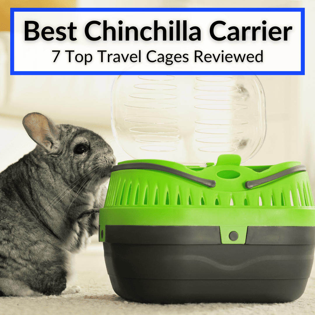 Best Chinchilla Carrier