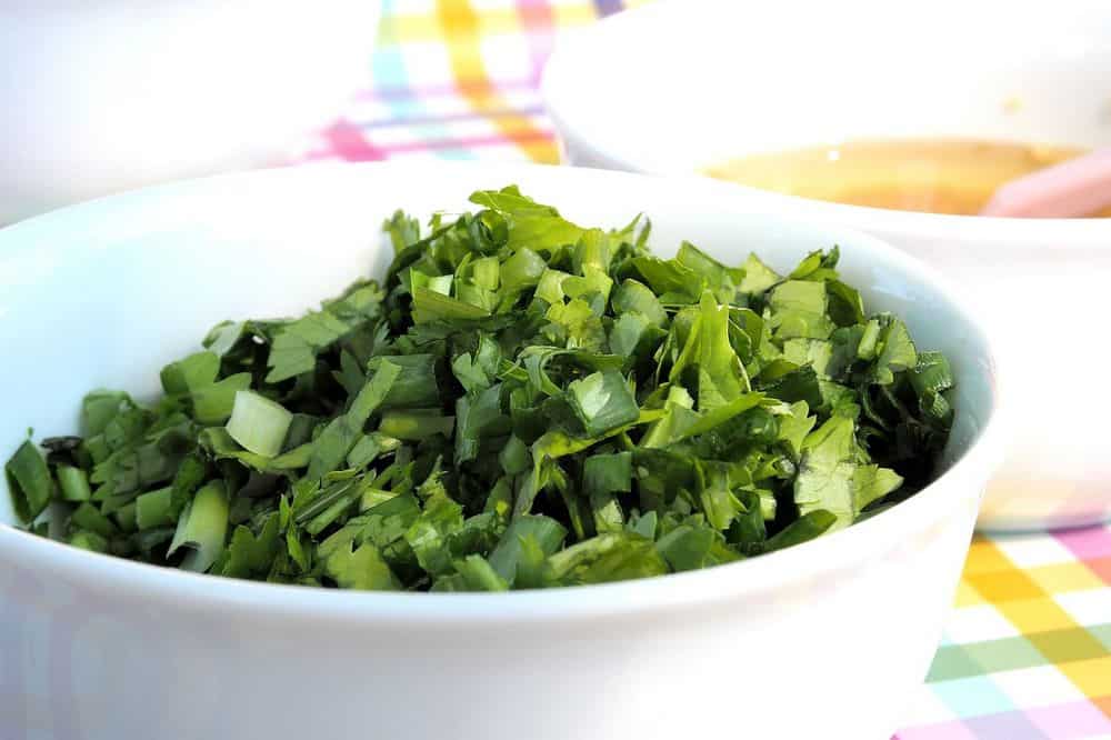 bowl of cilantro