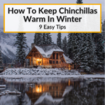 How To Keep Chinchillas Warm In Winter
